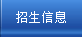招生信息